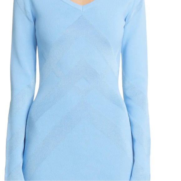 NWT Burberry Orietta Dress - Picture 3 of 4